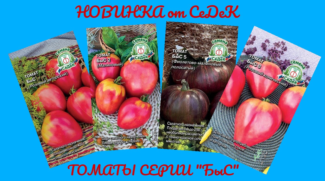 Серия томатов "БыС"