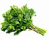 Петрушка